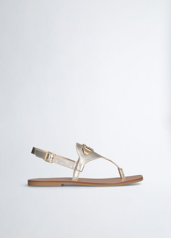 SA5085 EX013 Scarpa