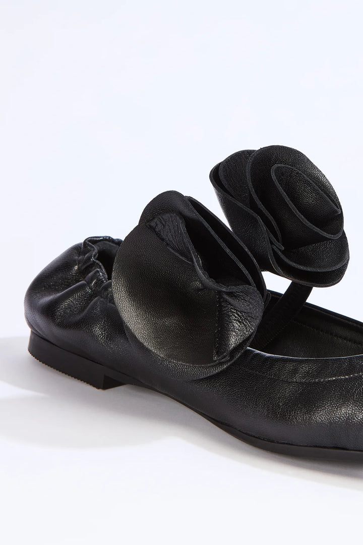 W5/A5WC15 Ballerina