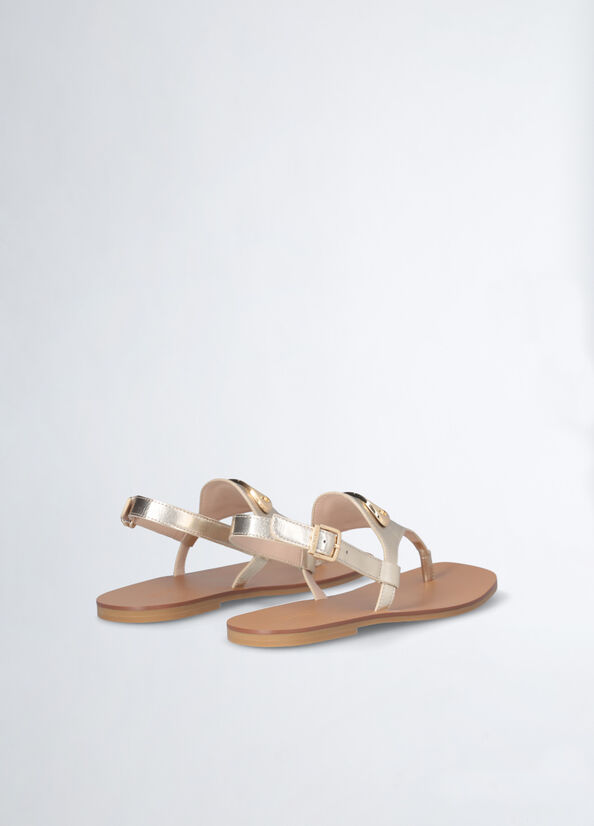 SA5085 EX013 Scarpa