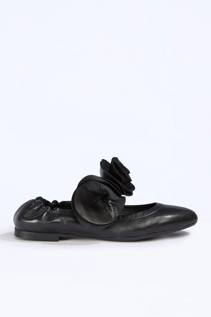 W5/A5WC15 Ballerina